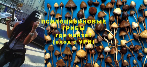 ALPHA PVP Арсеньев