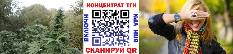 kraken онион  Темников  Дистиллят ТГК Wax 